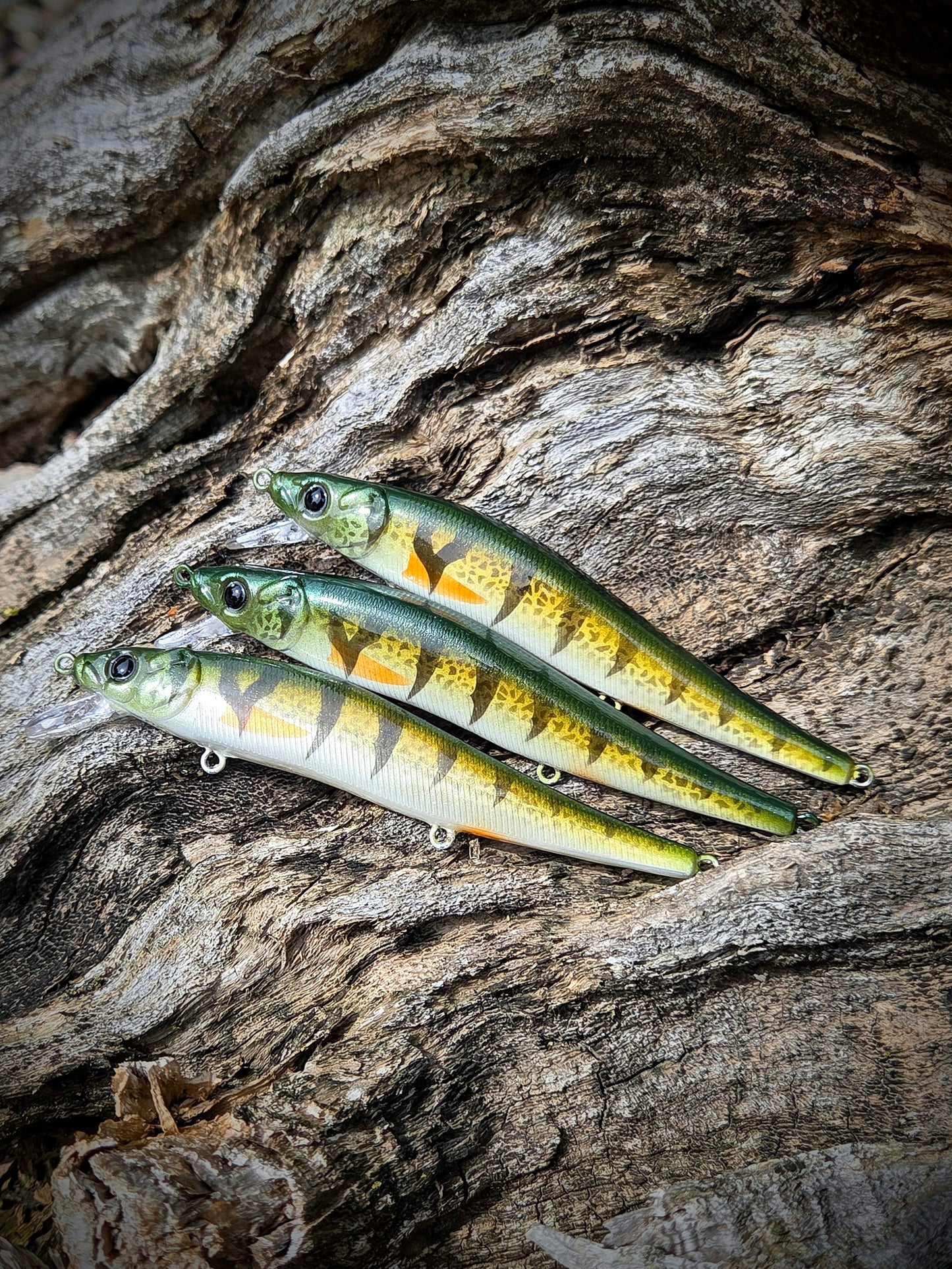 PERCH JERKBAIT
