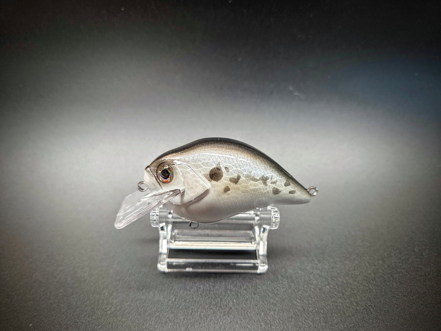 SHAD 1.5 SB