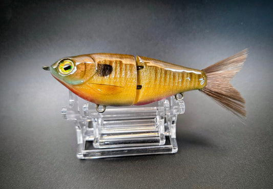 BLUEGILL GLIDE