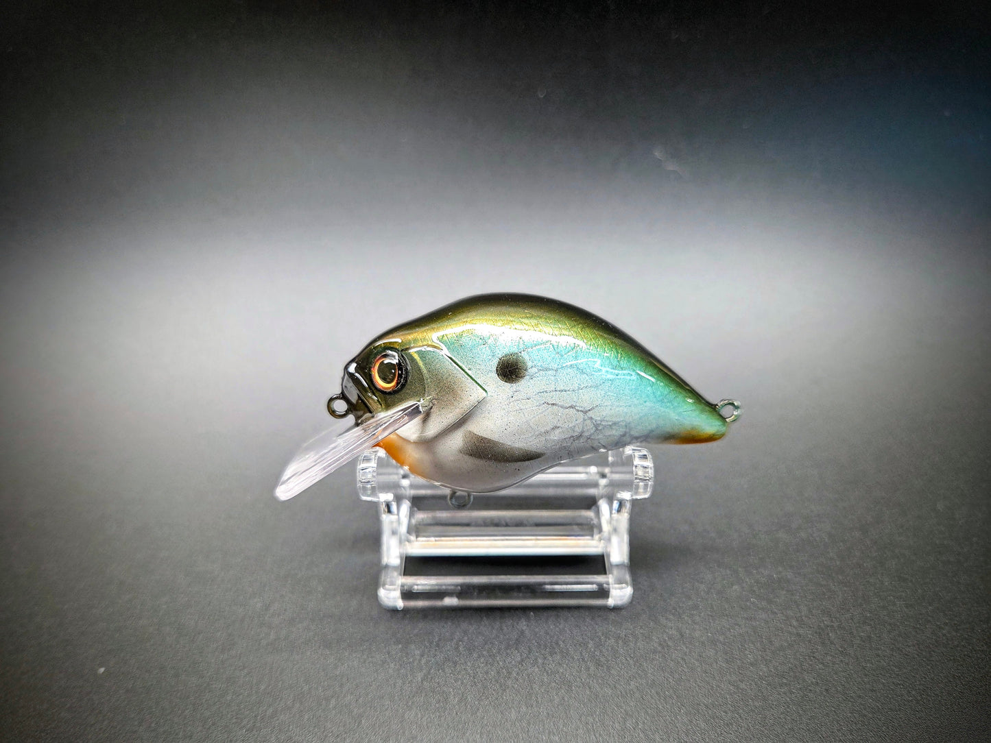 CRACKLE SHAD 1.5 SB